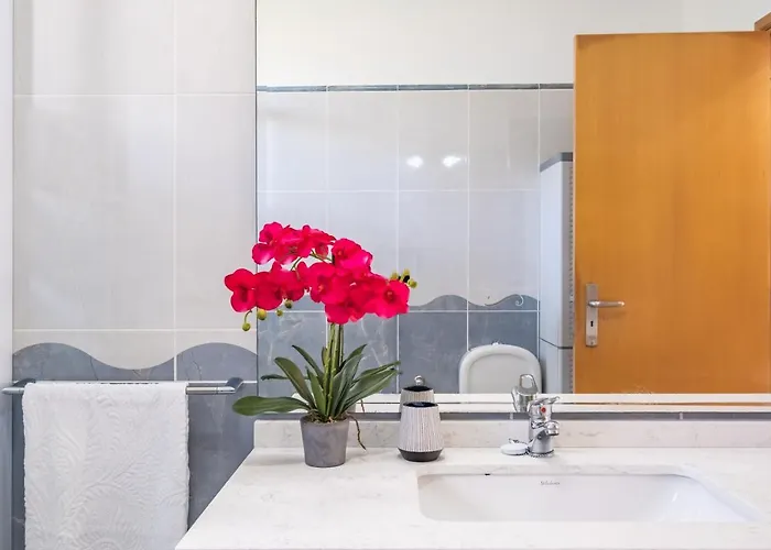 Casa Flor Do Campo 卡列塔